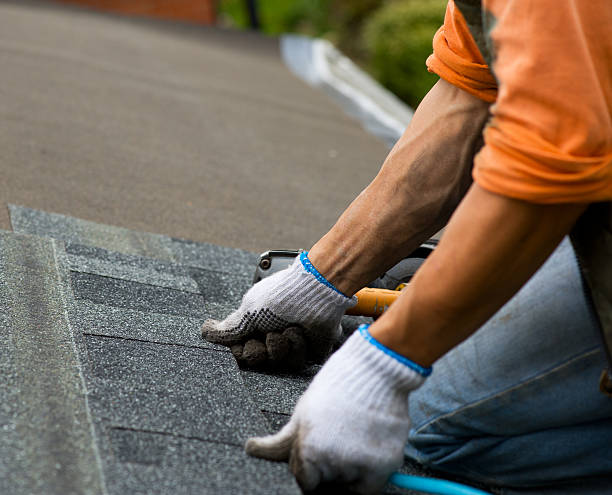 Roof Gutter Cleaning in Beattyville, KY